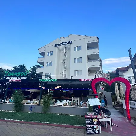 酒店 私人酒店 3*